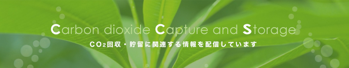 Carbon dioxide Capture and Storage
