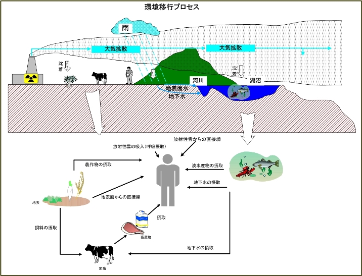 環境移行