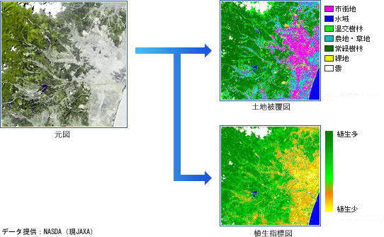 D.4.3_土地被覆図・植生指標図例
