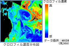 D.4.3_クロロフィル濃度分布図