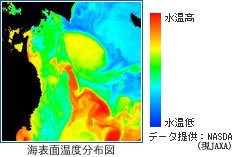 D.4.3_海表面温度分布図