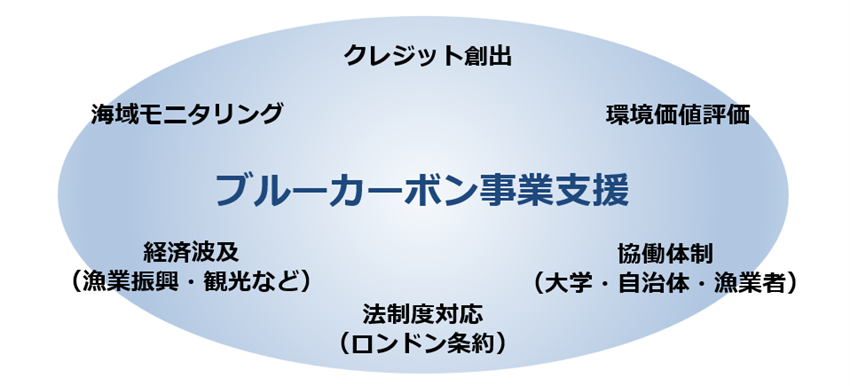 ブルーカーボン事業支援