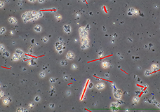 アスベスト計測支援システム メコラス®